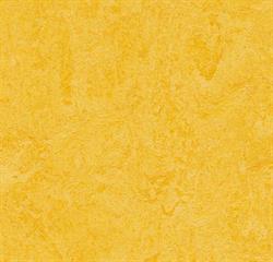 Forbo marmoleum real 3251 lemon zest i 200 cm bredde